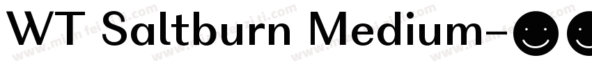 WT Saltburn Medium字体转换